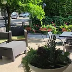 Ardesia