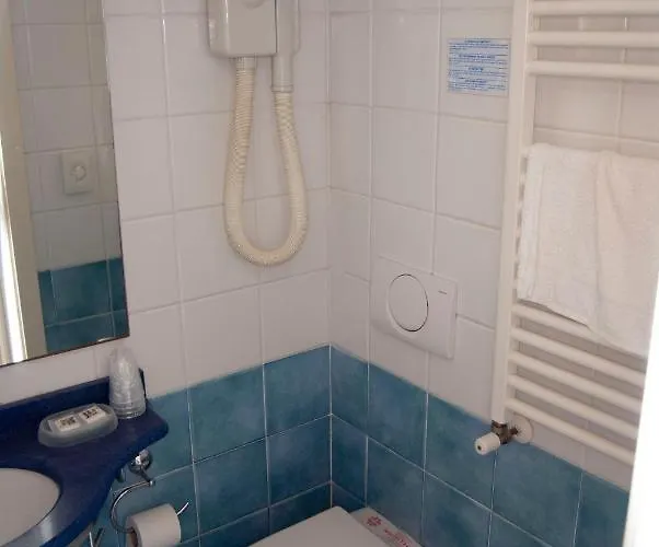 酒店 阿尔德西亚酒店 3*