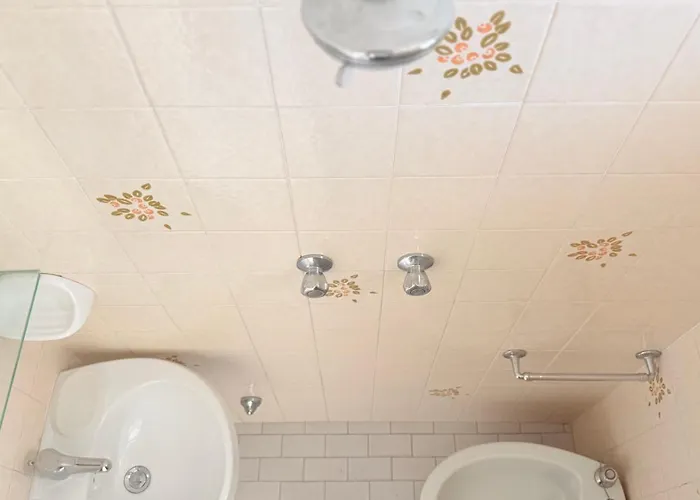 阿尔德西亚酒店 酒店